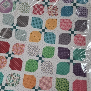 Lori Holt PIece and Plenty Vinyl Project Bag