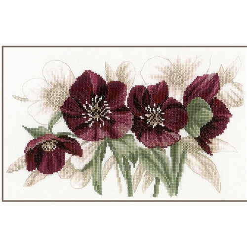 Hellebores Cross Stitch Kit by Lanarte - PN0021206