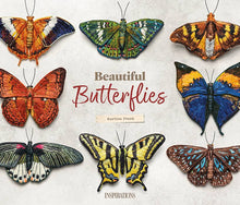 Beautiful Butterflies