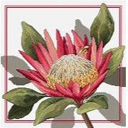King Protea Cross Stitch Chart by Country Threads