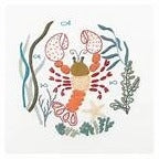 Oscar Le Homard (The Lobster) Embroidery Kit by Un Chat Dans L'Aguille