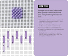 Needlepoint Stitches Card Deck A Modern Stitch Dictionary in 50 Cards by Emma Homent