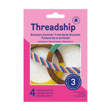 DMC Threadship Starter Pack - Friendship Bracelets