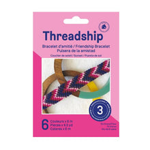 DMC Threadship Starter Pack - Friendship Bracelets