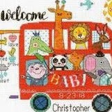 Baby on Board Birth Record Kit by Dimensions