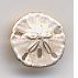 Susan Clarke Charm 68 Sand Dollar Button Small