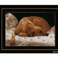 Sleeping Dog Cross Stitch Kit by Lanarte (PN-0164050)