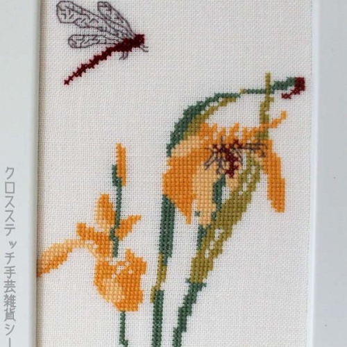 Yellow Iris (Vandris og Varflue) by Conni Schimmel