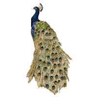 Peacock By Roseworks