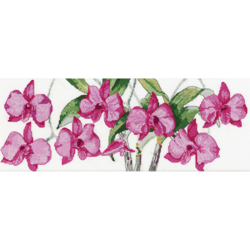 Cooktown Orchid By Helene Wild