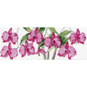 Cooktown Orchid By Helene Wild