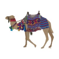 Camel By Roseworks Designs