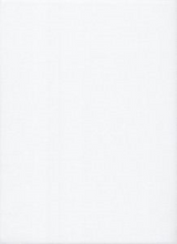 22CT Oslo Evenweave Zweigart Full Metre