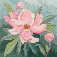 Long Stitch Kits by Derwentwater Designs