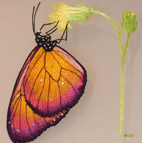Feeding Butterfly Kit by Les Designs