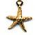 Susan Clarke Charm 951 Small Starfish