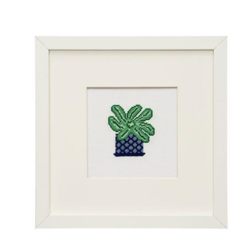 Cactus 16-17 By By Tine Wessel