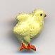 Susan Clarke Charm 146 Chick