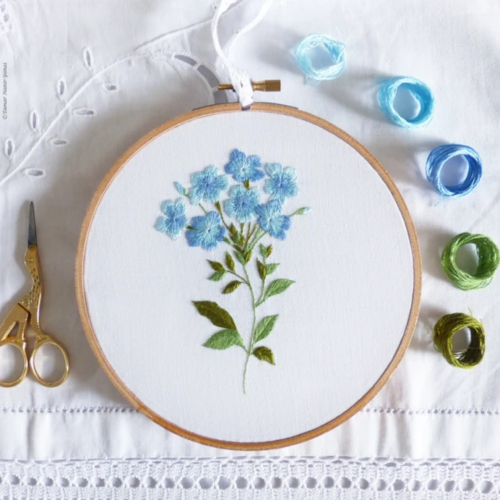 Blue Plumbago by Tamar Nahir-Yanai