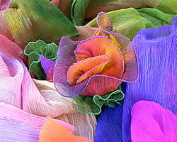 Crinkle Chiffon - Colour Streams