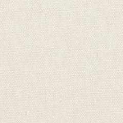 Cotton Canvas (Duck Cloth) 148cm Wide Price per metre