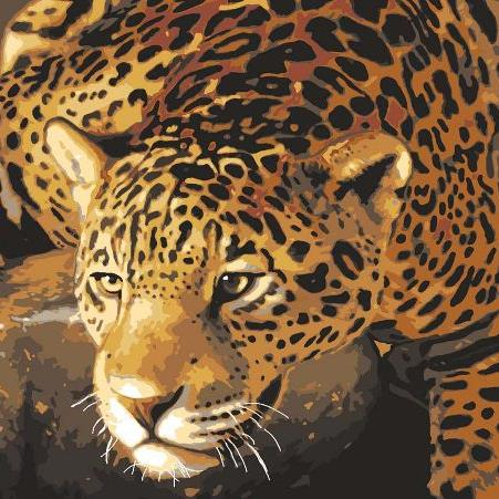 Jaguar Prowl Tapestry 10.502 by Grafitec