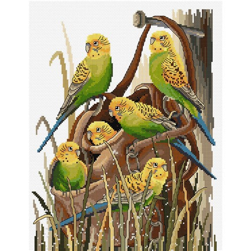 Bush Budgies Cross Stitch Kit by Country Threads