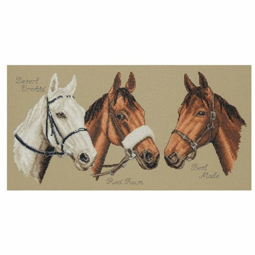 Three Champions Cross Stitch Kit by Anchor