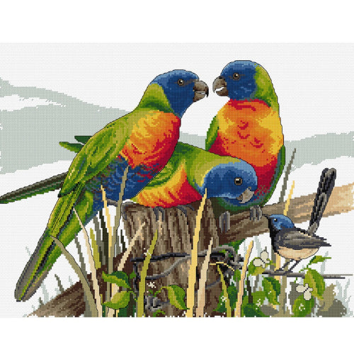 Lots of Lorikeets Cross Stitch Kit by Country Threads